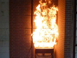 waehrend-des-brandes
